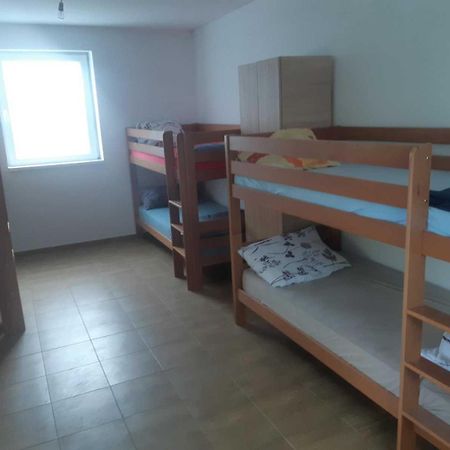 Apartman Novi Sad - Apartment Novi Sad Sremska Kamenica Eksteriør bilde
