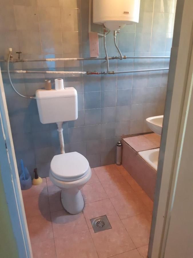 Apartman Novi Sad - Apartment Novi Sad Sremska Kamenica Eksteriør bilde