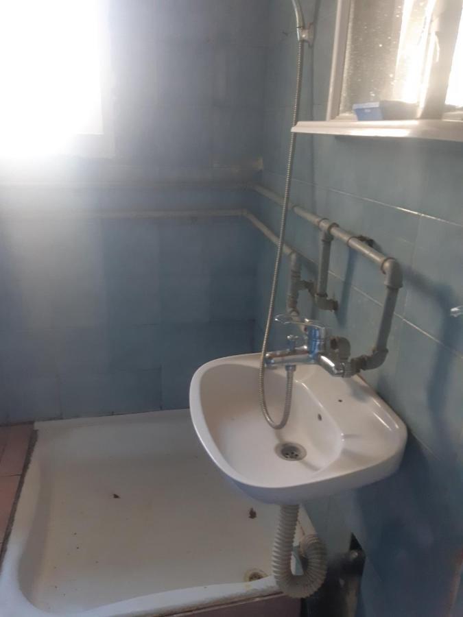 Apartman Novi Sad - Apartment Novi Sad Sremska Kamenica Eksteriør bilde